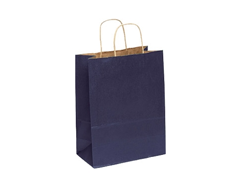 Holly A4 Coloured Twist Handled Kraft Paper Bag