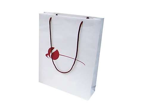 Sycamore Premium Rope Handled Paper Bag