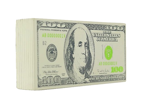 Hundred Dollar Bill Stress Toy