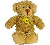 30cm Barney Bear With Ribbon Sash - Biscuit