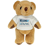 13cm Jointed Honey Bear With T-Shirt