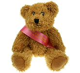 25cm Sparkie Bear With Ribbon Sash