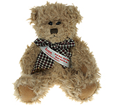 20cm Windsor Scruffy Bear With Sash