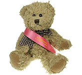 25cm Windsor Scruffy Bear With Sash