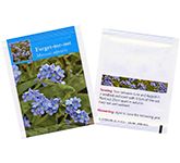 Seed Packets - Forget Me Not