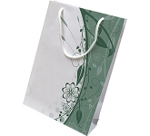 Company printed Birch Premium Rope Handled Paper Bags at GoPromotional Merchandise