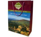 Sycamore Luxury Laminated Paper Shopping Bags available with full colour printing at GoPromotional