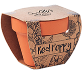 Poppy Terracotta Pot