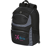 Maestro 15.4"Luxury TSA Laptop Backpack