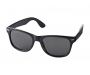 Calypso Sunglasses - Black