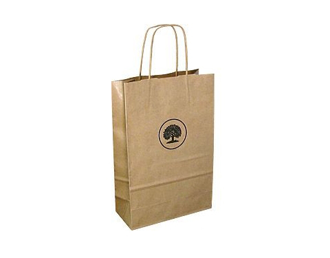 A4 Sustainable Kraft Twist Handled Paper Carrier Bag