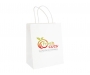 Brookvale Medium Twist Handled Recyclable Paper Bags - White