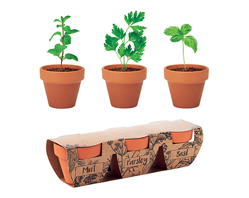 Terracotta Herb Pot Sets