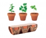 Terracotta Herb Pot Sets
