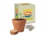 Boxed Recycled Pot Gardens