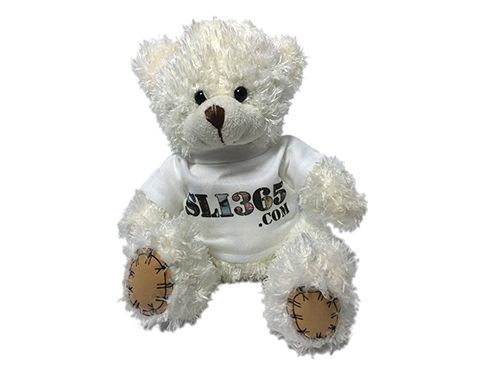 18cm Paw Bear With T-Shirt