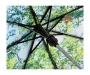 FARE Forest Automatic Mini Umbrellas - Black
